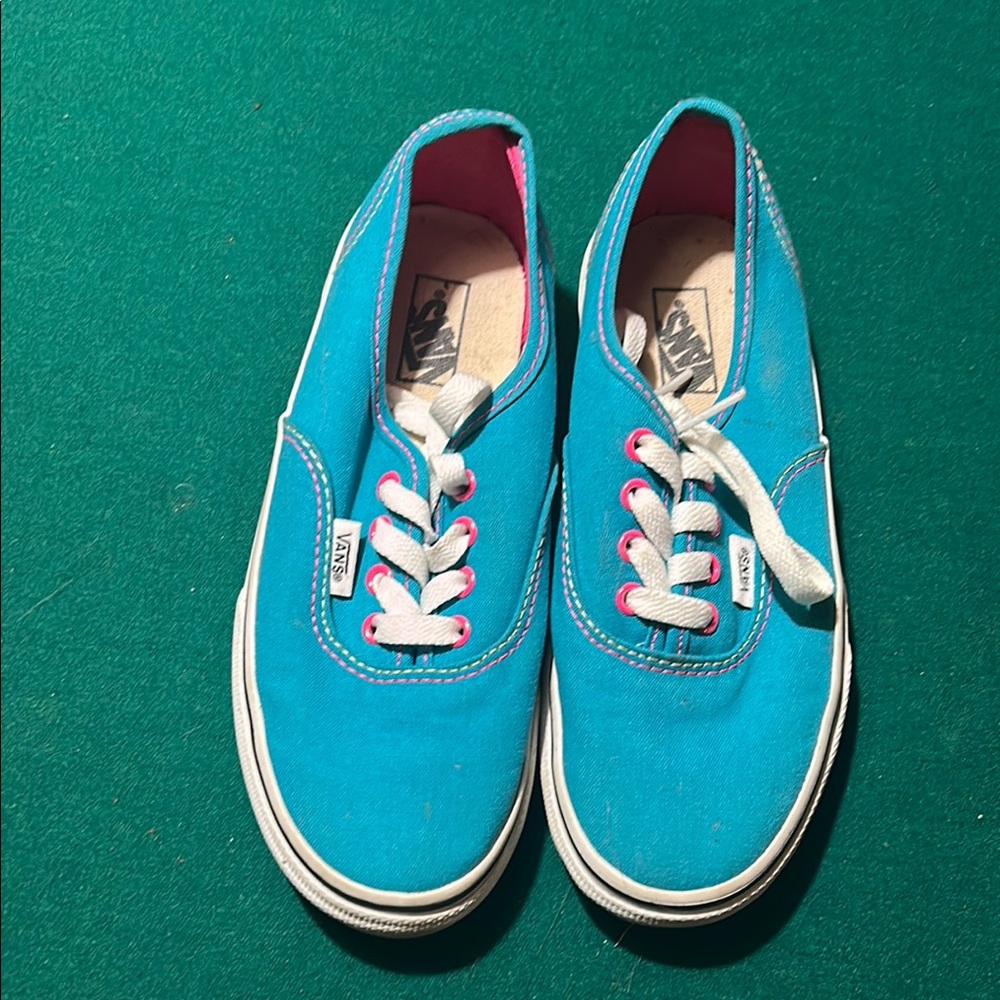 Vans Blue Canvas Sneakers